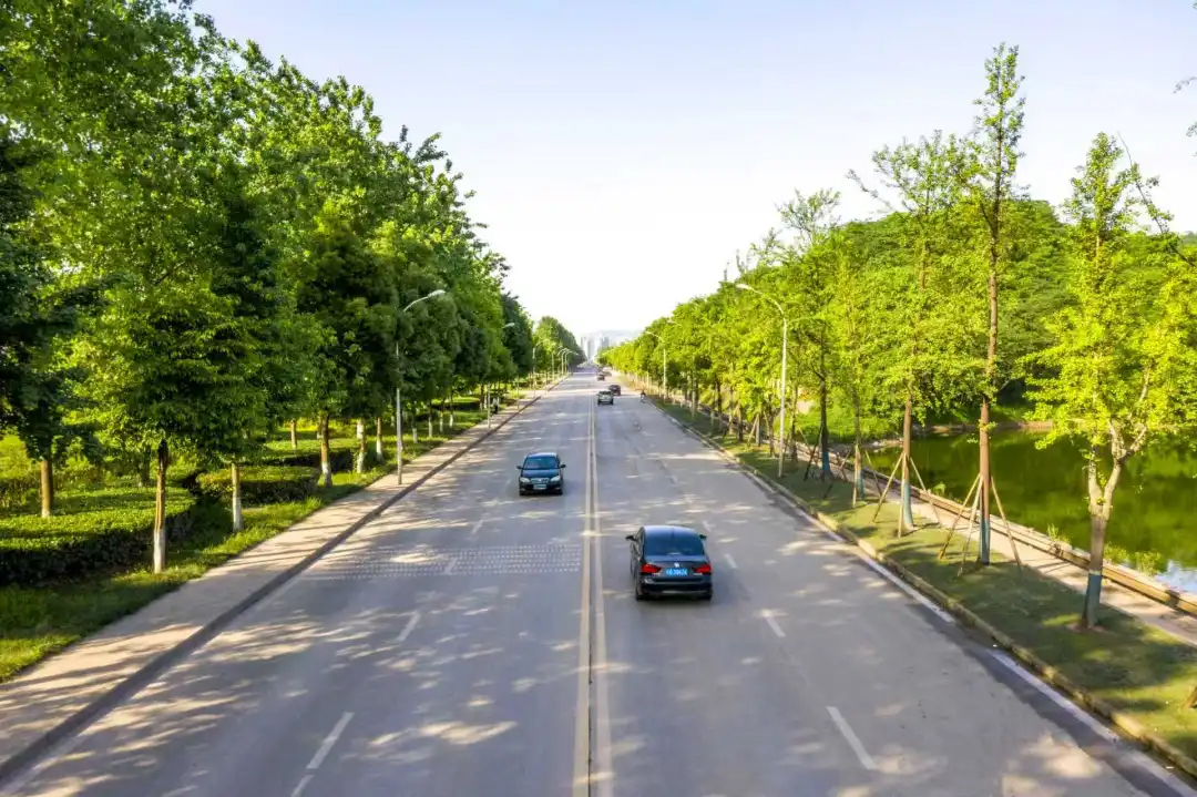 ���ݿ���ku��������������ЧA����ҵ